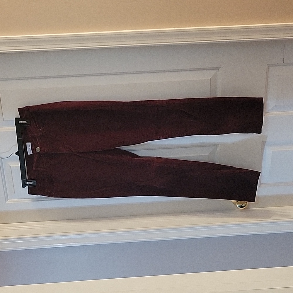 Loft burgandy velvet pants  curvy and straight 6/28